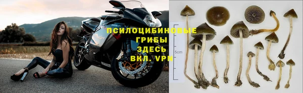 каннабис Белокуриха